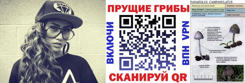 ОМГ ОМГ зеркало Бабушкин Псилоцибиновые грибы GOLDEN TEACHER